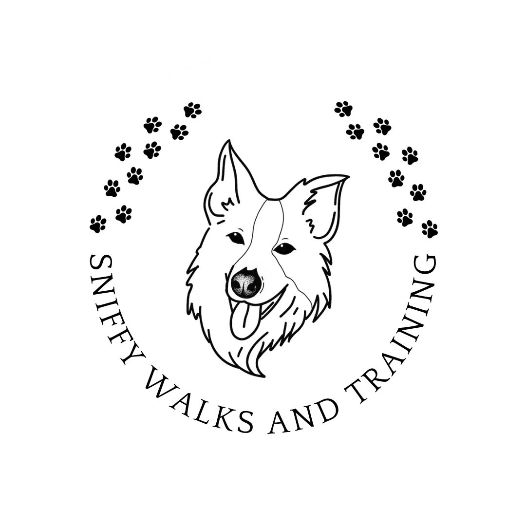 Sniffy Walks